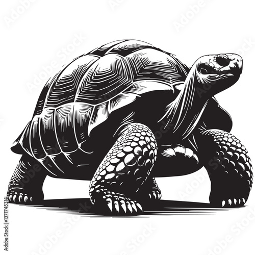 Black Pinta Giant Tortoise Silhouette Vector, High Quality Illustration on White Background