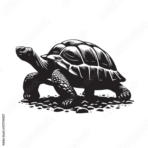 Black Pinta Island Tortoise Silhouette Vector, High Quality Illustration on White Background