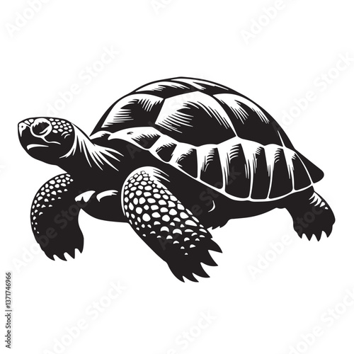 Black Pinta Island Tortoise Silhouette Vector, High Quality Illustration on White Background