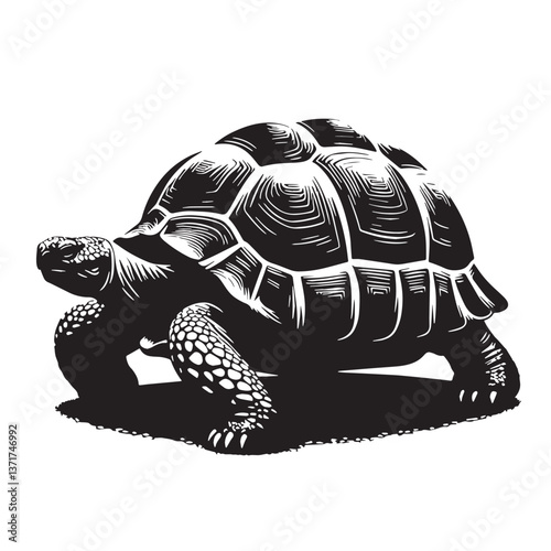 Black Pinta Island Tortoise Silhouette Vector, High Quality Illustration on White Background