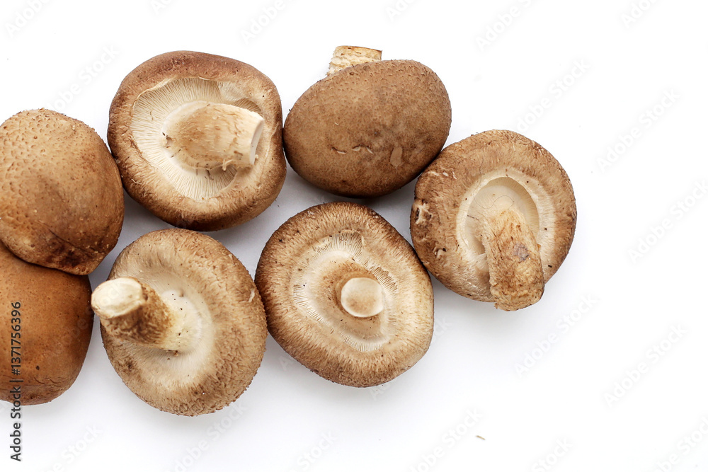 Fresh shiitake mushrooms on white background. Fresh shiitake mushrooms on white background.