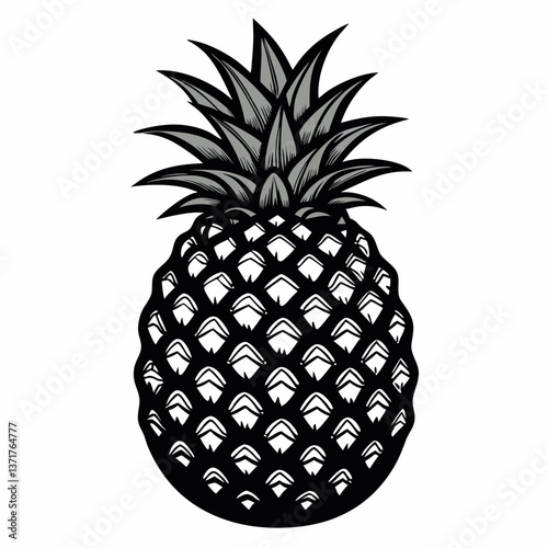 Pineapple vector illustration