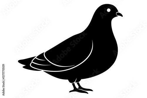 pigeon silhouette vector