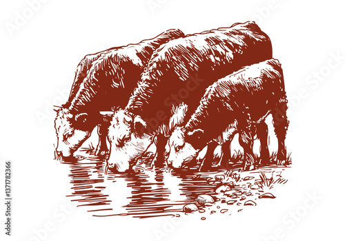 Hereford Cattle hand drawn sketch vector illustration