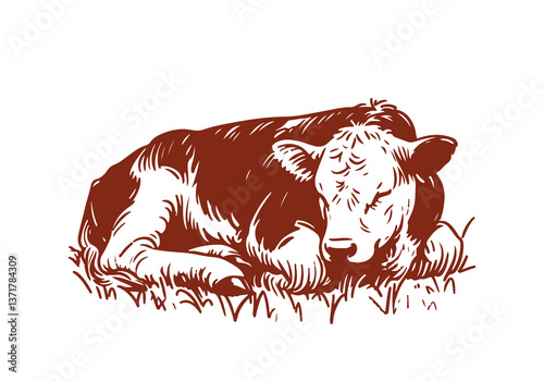 Hereford Cattle hand drawn sketch vector illustration