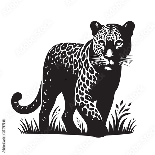 Black Zanzibar Leopard Silhouette Vector, High Quality Illustration on White Background