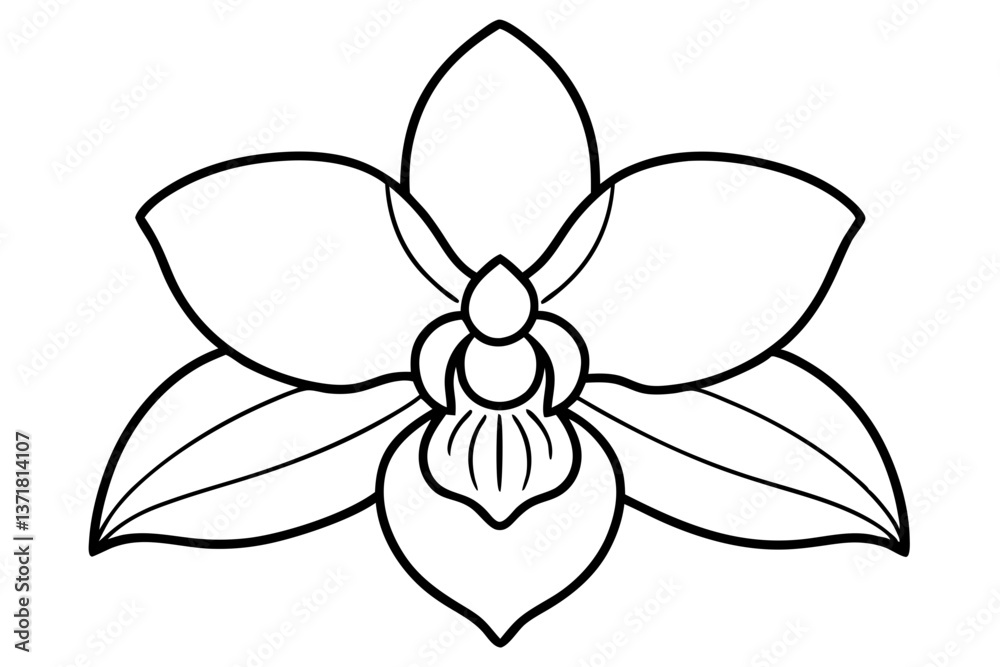 orchid flower in full bloom line art vector illustration orchid flower in full bloom line art vector illustration