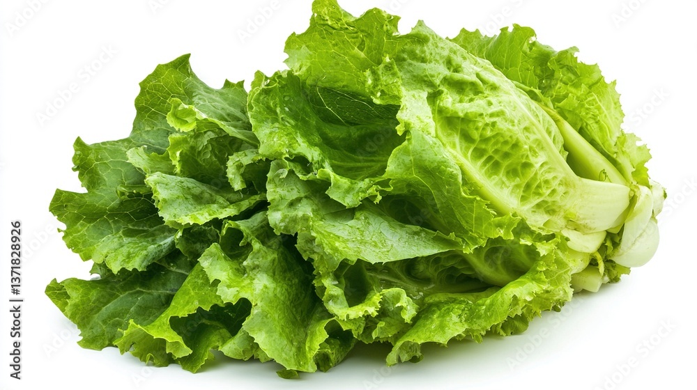 Fresh green lettuce leaves isolated on white background. (1) Fresh green lettuce leaves isolated on white background. (1)