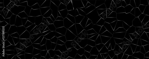 Mirrored Dimensions and the Optical Trickery of Reflective Surfaces Creating Infinite Space

