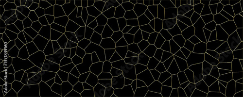 Splintered Patterns and the Unexpected Beauty of Imperfection in Transparent Materials

