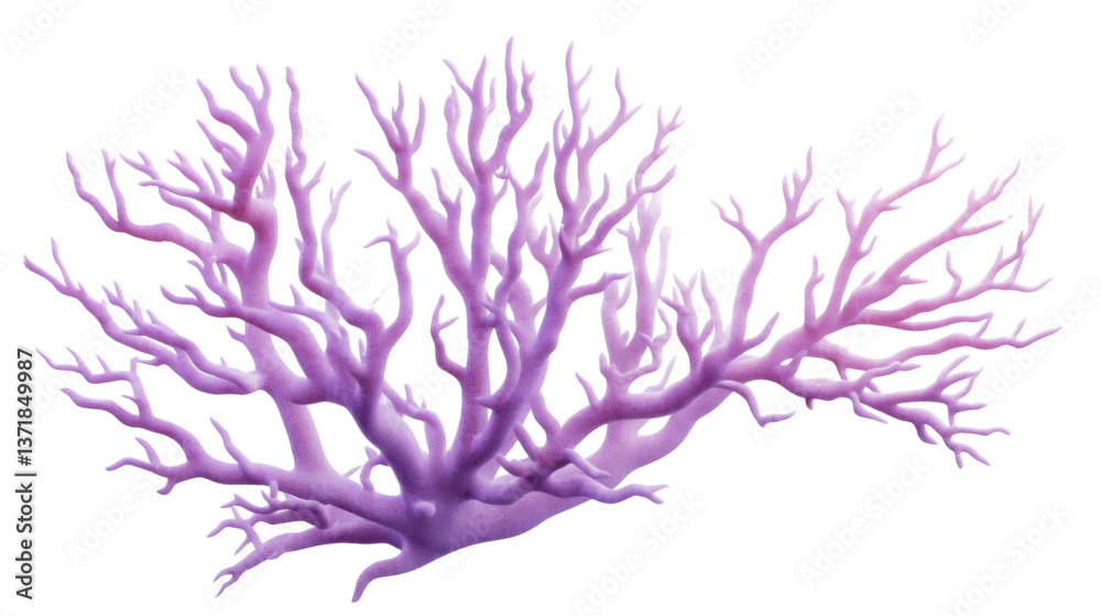 Naklejka premium lilac branch isolated on white background