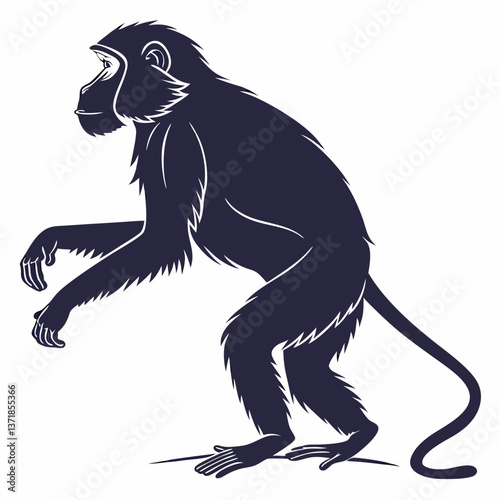 silhouette of macaque on white background
