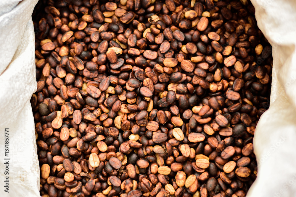 Fototapeta premium In the honey process, coffee beans are dried under the sun. As the pulp and mucilage ferment, they give the beans a yellowish-brown color.