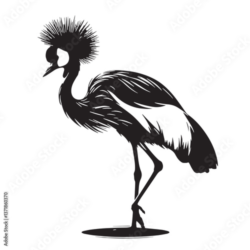 Black Black-crowned Crane Silhouette Vector, High Quality Illustration on White Background