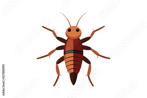 cockroach isolated on white background