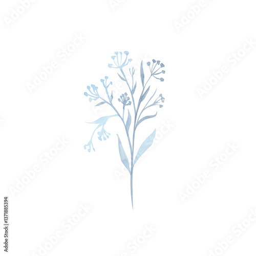 Fototapeta Naklejka Na Ścianę i Meble -  Plant branches, flowers, leaves, sprout watercolor