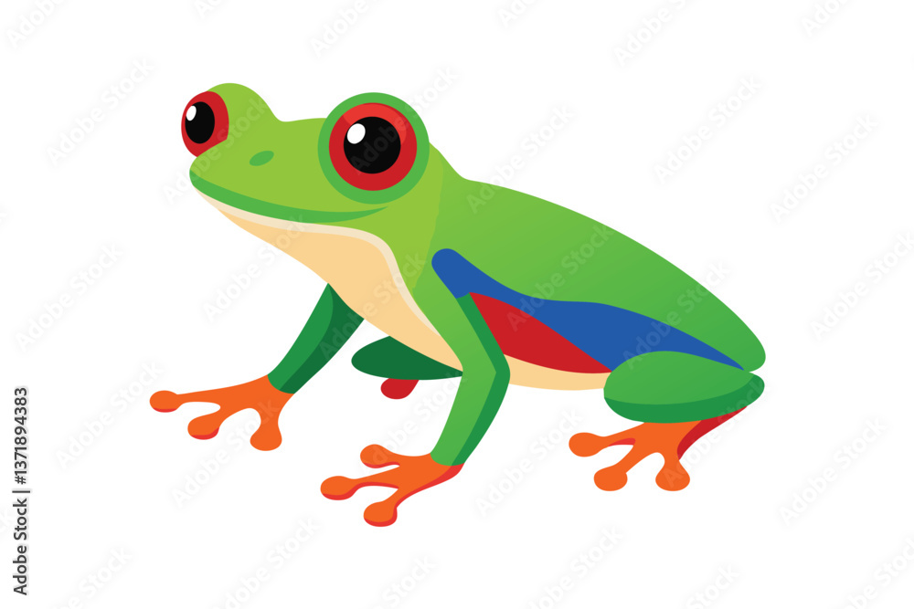 Obraz premium green eyed tree frog