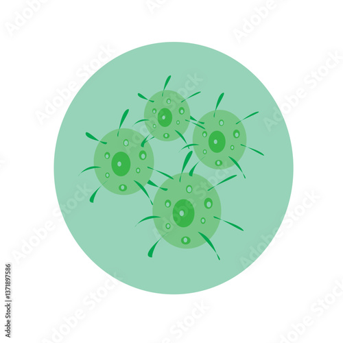 Green Cells with Protrusions