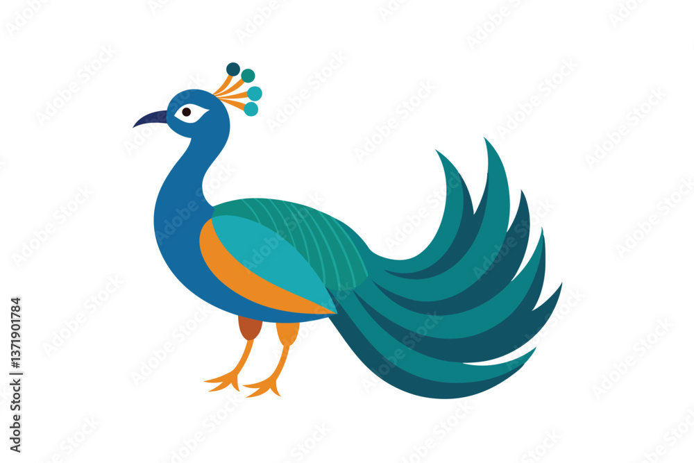 peacock vector illustration peacock vector illustration