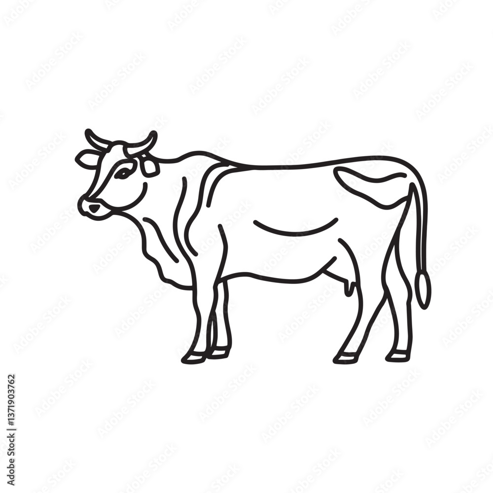 Cow animal line art isolated flat vector illustration on white background Cow animal line art isolated flat vector illustration on white background