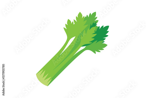 celery isolated on white background