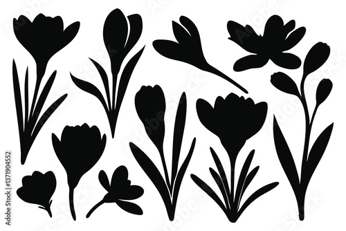 Crocus silhouettes set isolated flat vector illustration on white background