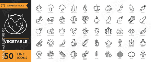 Vegetable icon set. Containing Tomato, cucumber, onion, pumpkin, pepper, eggplant, zucchini, avocado, spinach, peas, corn, garlic, lettuce, mushroom, and more. Editable stroke. Vector illustration