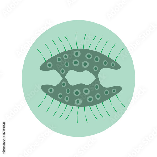 Simple, symmetrical, stylized organism with radiating appendages and patterned body
