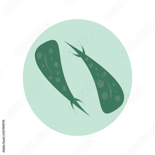 Two stylized, pointed, leaf-like organisms