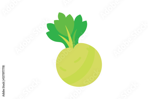 celeriac solated