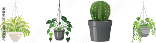 Botanical Quartet: Showcasing a diverse quartet of potted plants against a clean, uncluttered backdrop, the image captures the beauty and serenity of nature indoors. 
