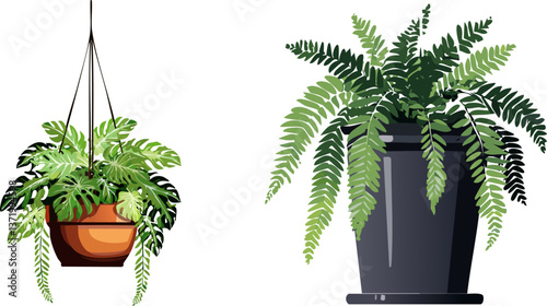 Greenery Duo: Two lush, thriving plants showcase vibrant green foliage. One plant is elegantly suspended in a hanging basket, while the other flourishes in a sleek pot.