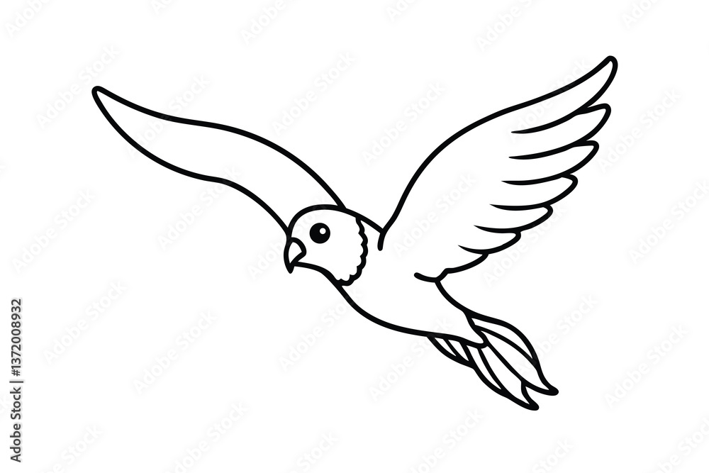 Fototapeta premium Flying Bird Outline Drawing Wings, Feathers, Avian Flight