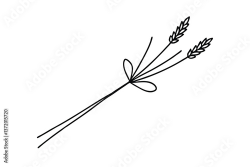 Simple Line Drawing of Two Wheat Stalks Tied Together