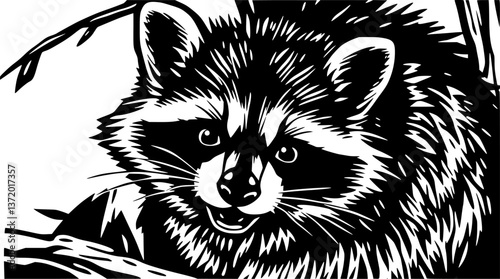 Engraved raccoon illustration. Vintage monochrome vector of a mischievous animal.