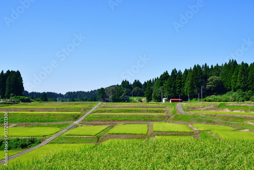 Photos 十日町の田園風景（新潟県）