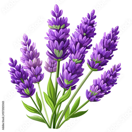 A charming cluster of lavender sprigs with lush purple blossoms and fresh green foliage perfect for any decorative purpose.