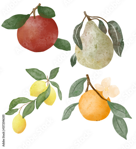 Garden fruits, orange, lemons, apple, pear, summer design. Clipart, sticker, label