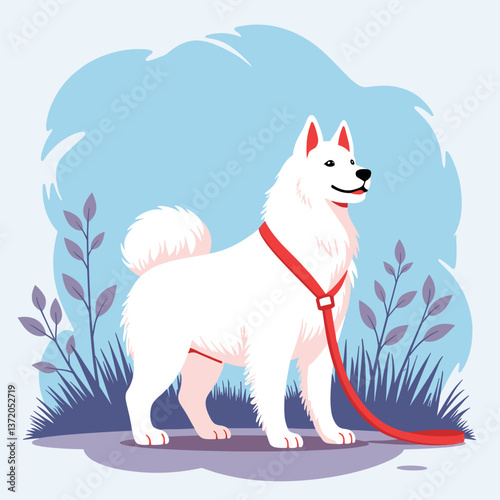 White Samoyed Dog Standing Happily on a Leash Against Blue Background  