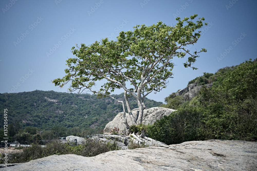 Wild nature and secluded beach in Hua Hin