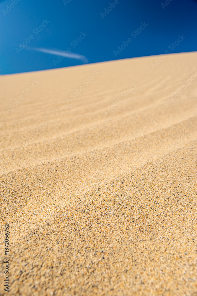 Naklejka premium Tottori Sand Dunes – Beautiful Sand Ripples and Blue Sky, Tottori, Japan