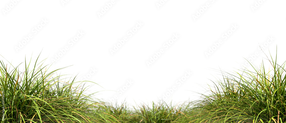 Obraz premium Grassland meadow growth landscaping on transparent backgrounds 3d rendering png file