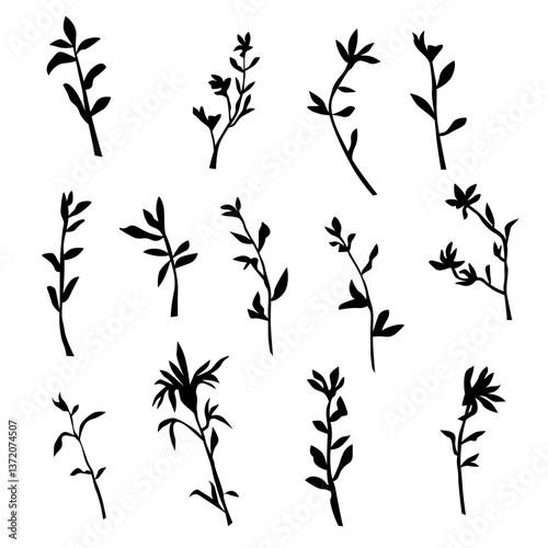 Obraz na płótnie Vector silhouettes of grass with leaves, bush branches with leaves, black color, isolated on a white background w salonie