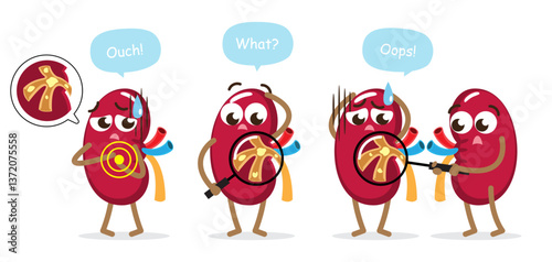 Kidney stones and normal kidney . Funny medical renal cartoon characters . Isolated white background . Vector .