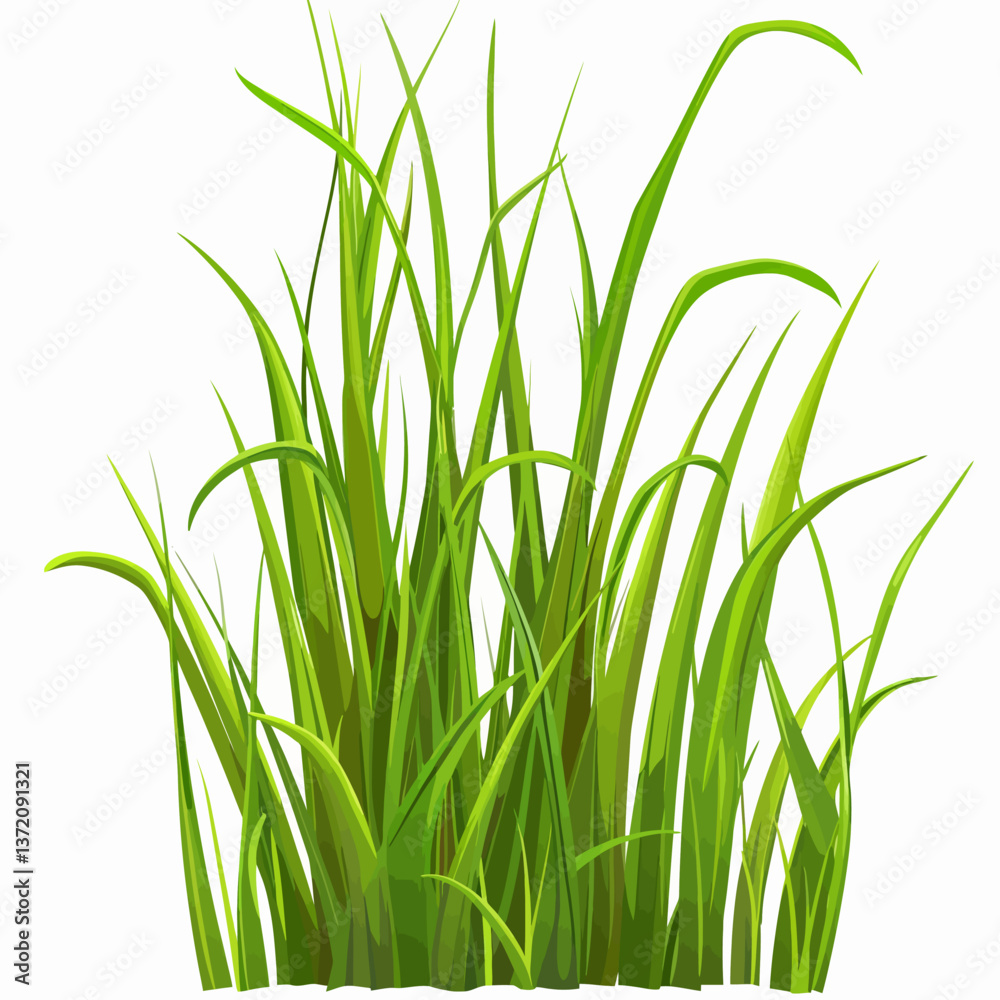 Fototapeta premium green grass on white background
