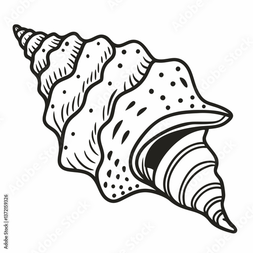 Intricate Seashell Illustration Detailed Black and White Nautical  Art