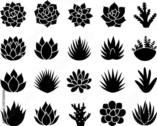 Succulent Plants Silhouette Vector icon Set | Cactus, Aloe, Agave & More