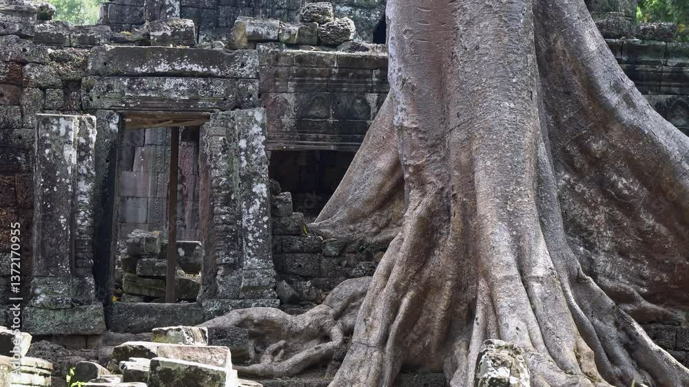 Angkor Wat, A remarkably tall building set against dense jungle backdrop Angkor Wat, A remarkably tall building set against dense jungle backdrop