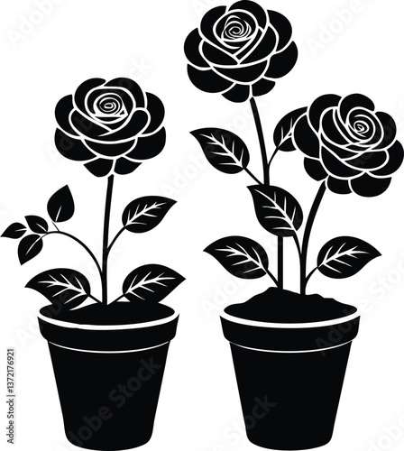 Beautiful pink roses, a set of floral blossoms in pots, isolated to bring spring garden beauty