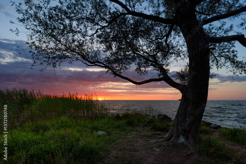 Sunset on the coast of the Curonian Spit